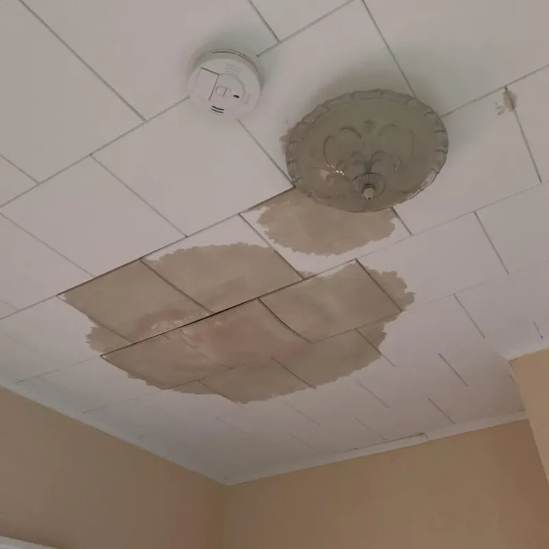 Ceiling Water Damage Repair in Val Verde Park, TX