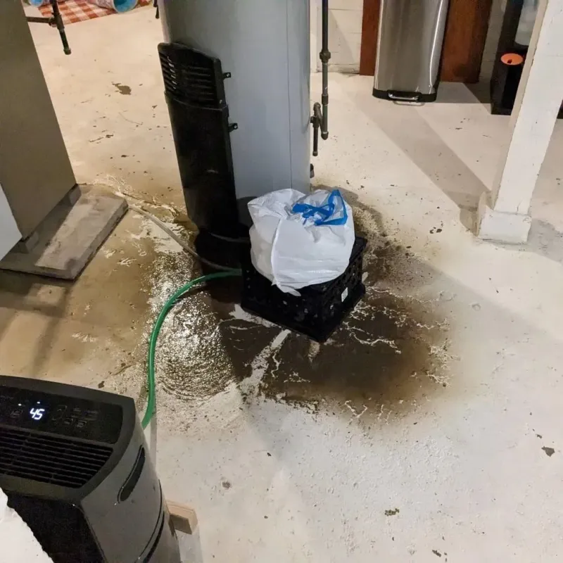 Sewage Backup Cleanup Service in Val Verde Park, TX